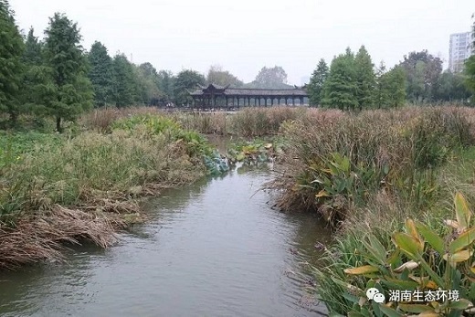 湖南綠楷節能環保科技有限公司,湖南土壤污染修復,污水處理工程,農業污染治理,環保工程